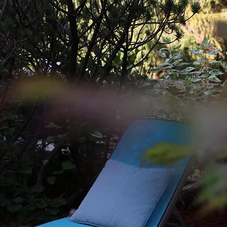 Seefelderin - Boutiquehotel