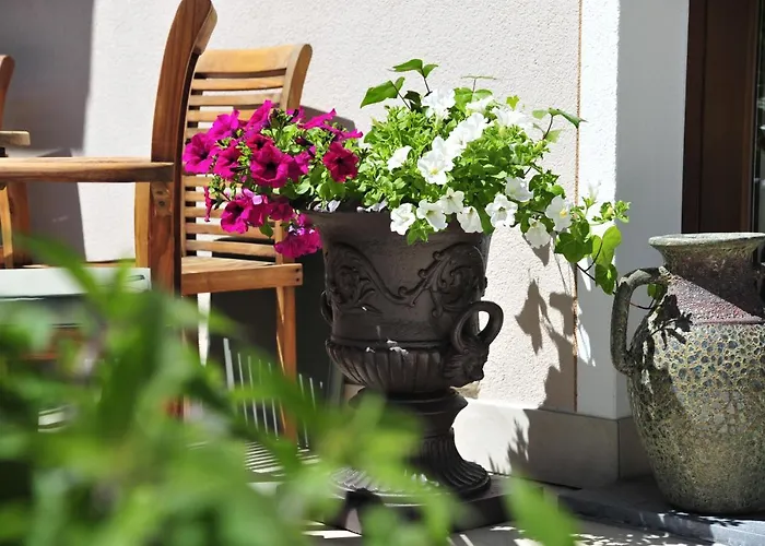 فندق Seefelderin - Boutiquehotel St. Georg 4*