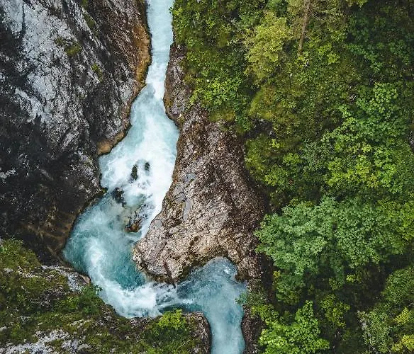 Seefelderin - Boutiquehotel St. Georg سيفيلد ان تيرول